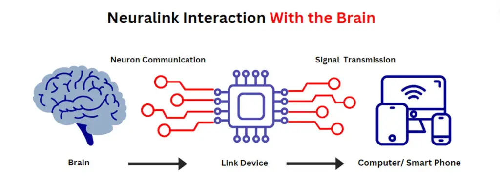 Diagram showing Neuralink’s brain chip and its neural connections.