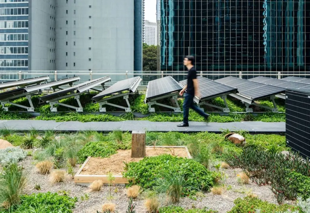 Smart filtration system using AI to purify water efficiently. Green technology 2025